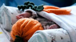 1635681206 617e83b540651