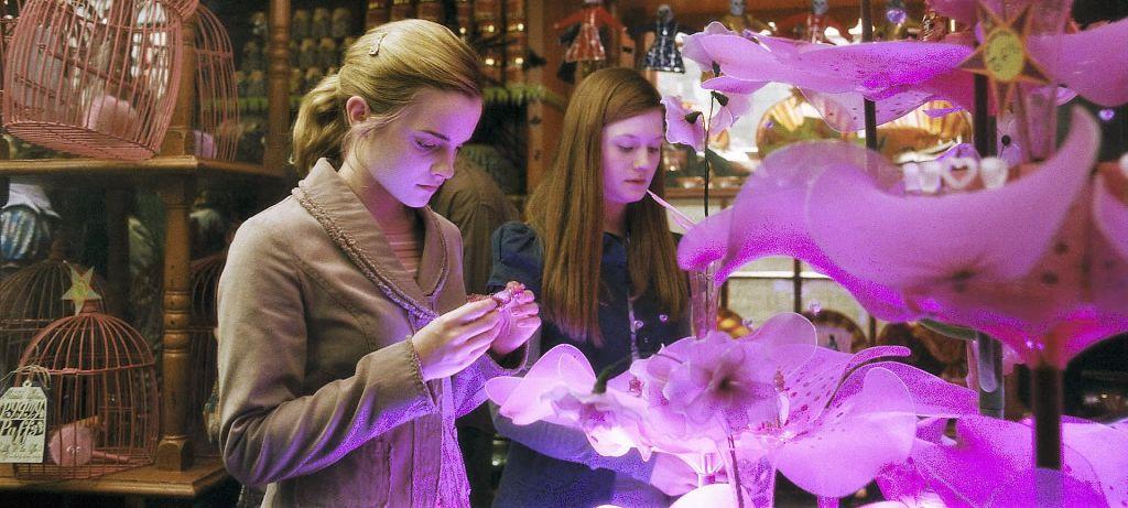 Harry Potte Hermione filtro damore